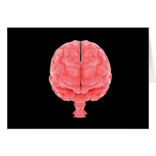 Image Conceptuelle Du Cerveau Humain 3