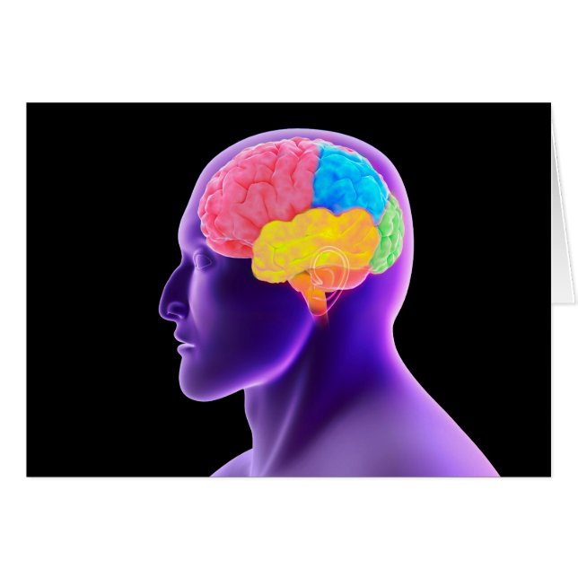 Image Conceptuelle Du Cerveau Humain 7 (Devant horizontal)