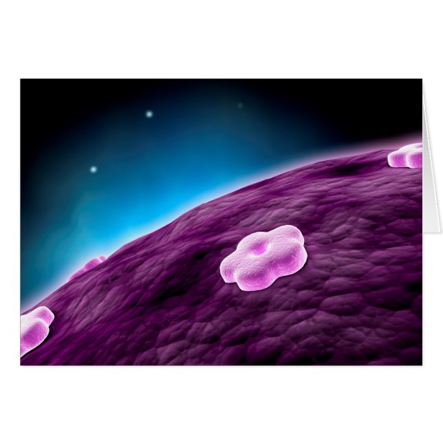 Image Conceptuelle Du Noyau Cellulaire (Devant horizontal)