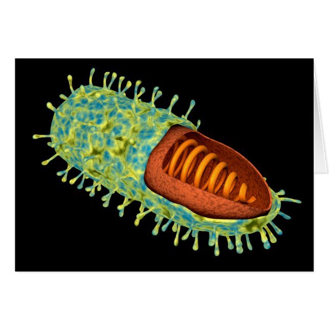 Image Conceptuelle Du Virus De La Rage 3 (Devant horizontal)