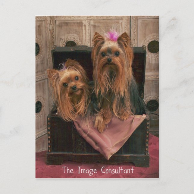 Image Consultant Postcard (Front)