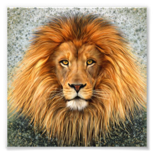 Image d'art de peinture de photographie de lion