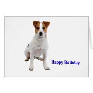 Image de chien pour carte de voeux d'anniversaire