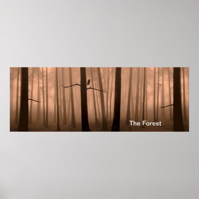 Image de la forêt pour Poster (Devant)