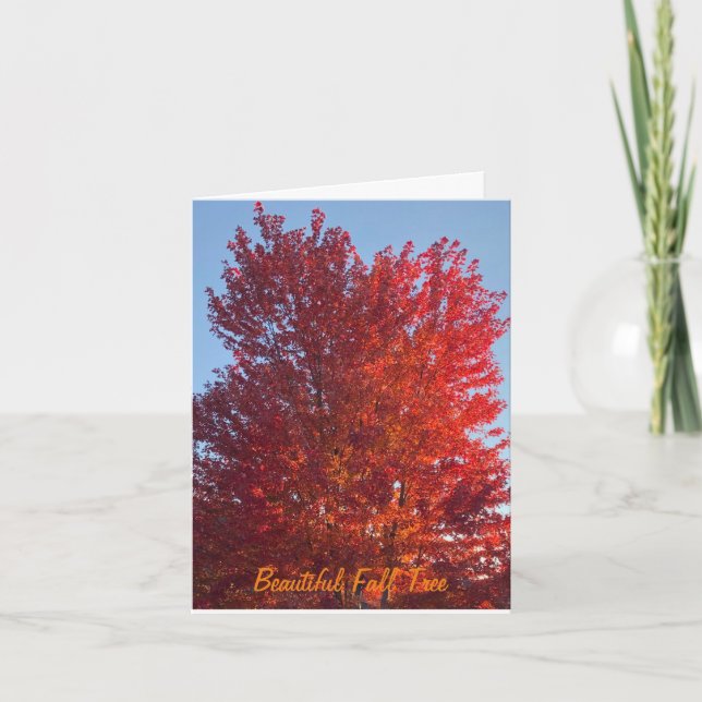 Image de l'arbre automne | (Devant)