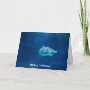 Image de requin pour la carte de voeux d'anniversa