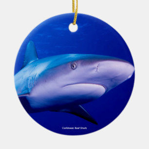 Image de requin pour ornement circulaire