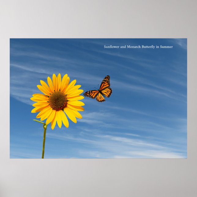 Image de tournesol pour Poster (Devant)