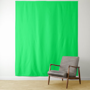 Image Edit Green Screen Backdrop for Influencers  Tapestry