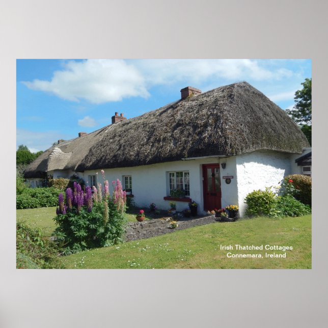 Image irlandaise de Poster (Devant)