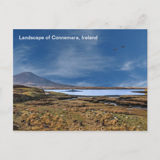 Image irlandaise pour carte postale (Devant)