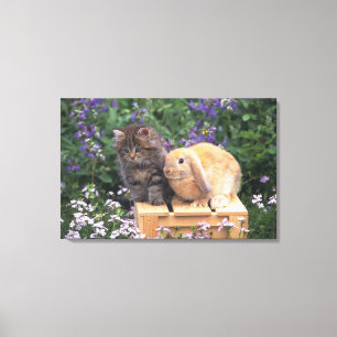 Image of a Kitten and a Lop Ear Rabbit Standing Canvas Print