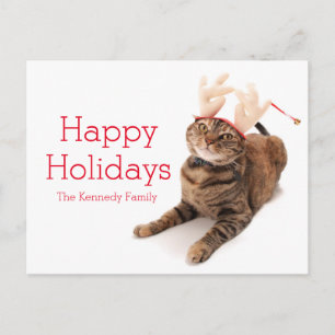 Image of a very cute little cat wearing reindeer holiday postcard