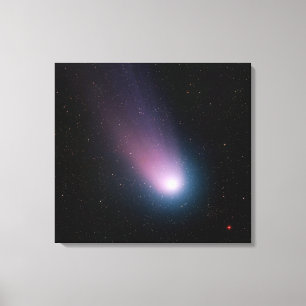 Image of comet C/2001 Q4 (NEAT) Canvas Print