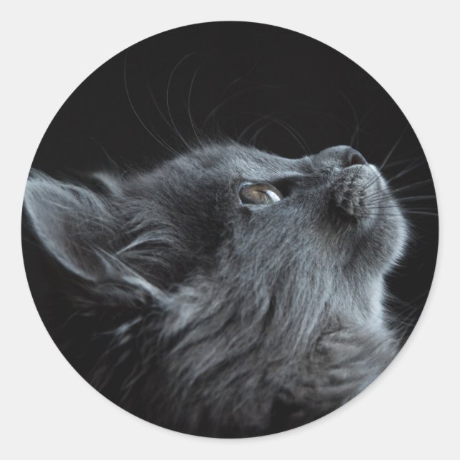 image that matches any pasting choice classic round sticker (Front)