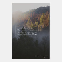 Image Tumblr Solitude fraîche de poème d'arbres