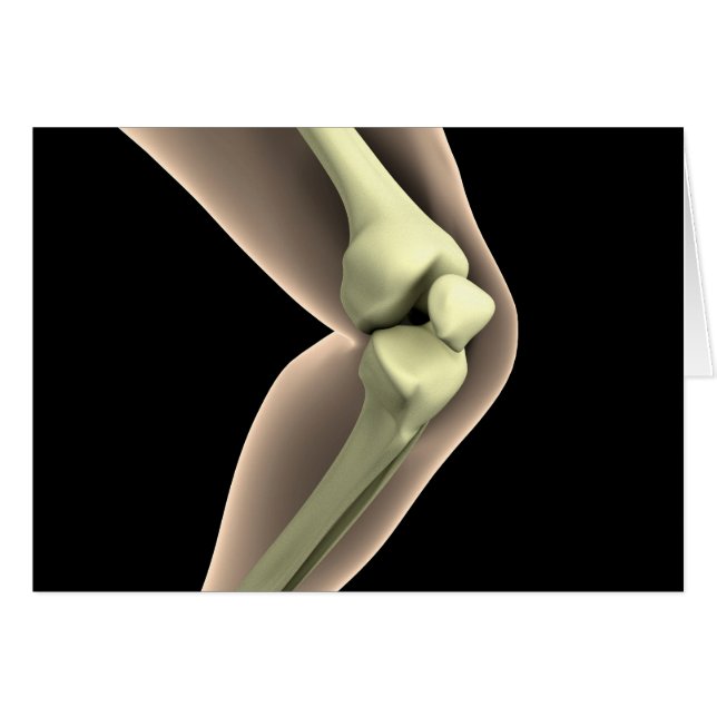 Image X-Ray Du Genou 2 (Devant horizontal)