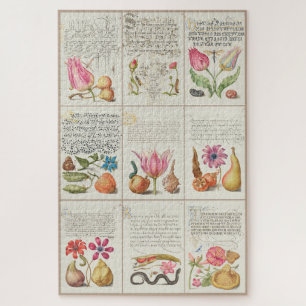 Images from Mira Calligraphiae Monumenta 004 Jigsaw Puzzle