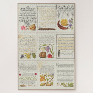 Images from Mira Calligraphiae Monumenta 006 Jigsaw Puzzle