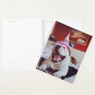 Images Getty   British Bulldog