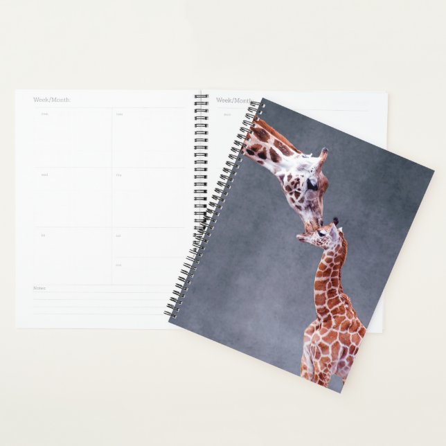 Images Getty | Mère et bébé Giraffe (Devant avec enveloppe)