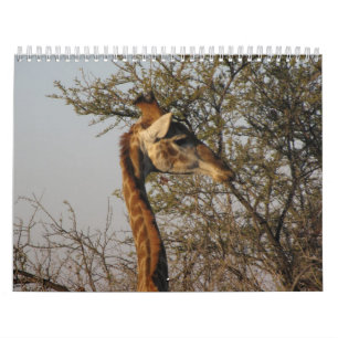 Images of South Africa Calendar