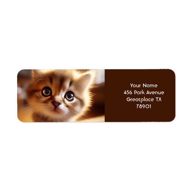 Imaginaire Cute Closeup Petit Kitten (Devant)