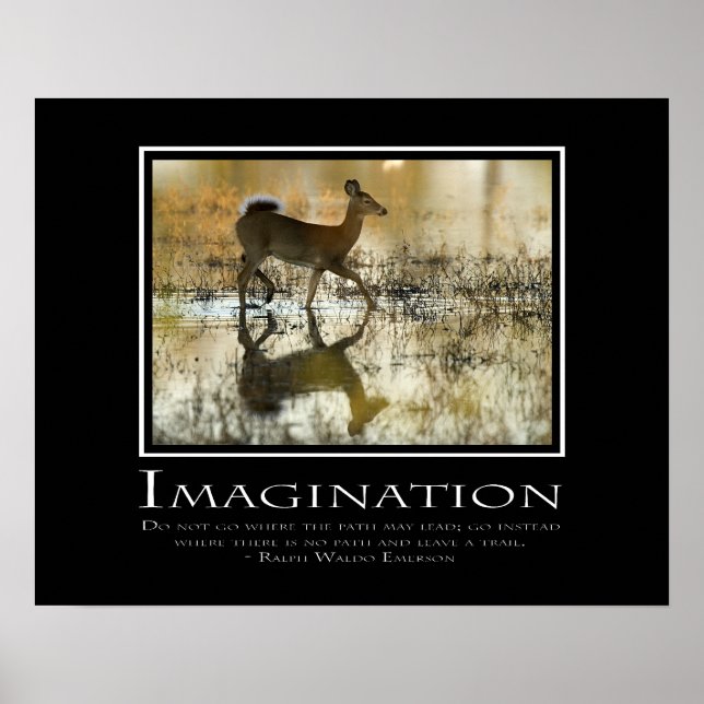 Imagination Poster (Front)