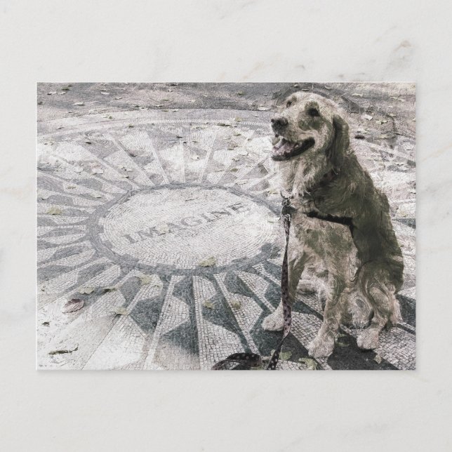"Imagine" aka "Golden in Strawberry Fields" Postcard (Front)