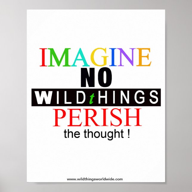 Imagine - poster (Front)