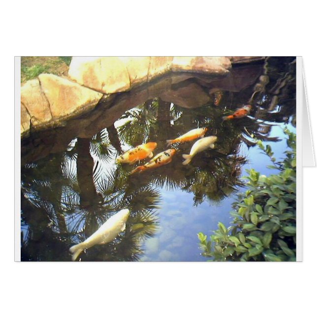 img1173.JPG (Front Horizontal)