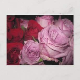 IMG_0032.JPG POSTCARD