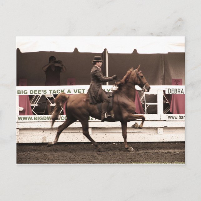 IMG_0065 copy Postcard (Front)