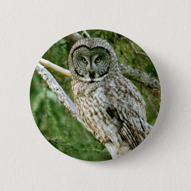 IMG_0297_2 2 INCH ROUND BUTTON (Front)