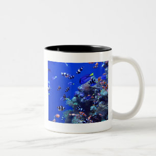 IMG_0829 Two-Tone COFFEE MUG