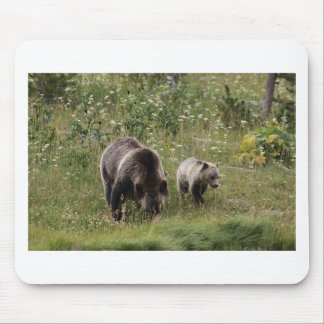 IMG_1328_1 MOUSE PAD