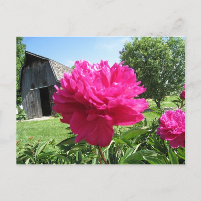 IMG_1506 POSTCARD (Front)