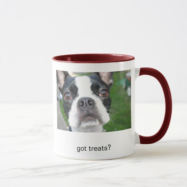 IMG_1551, got treats? Mug (Right)