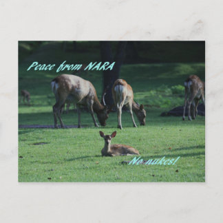 IMG_1652 NARA POSTCARD