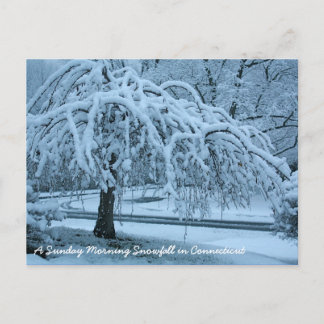 IMG_2425_2, A Sunday Morning Snowfall in Connec... Postcard