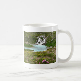 IMG_2809, la tasse de Mummimack