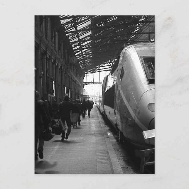 IMG_2880_2_2 POSTCARD (Front)