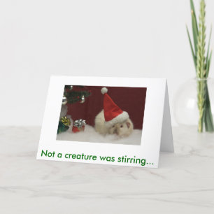 IMG_483201, Not a creature was stirring... Holiday Card