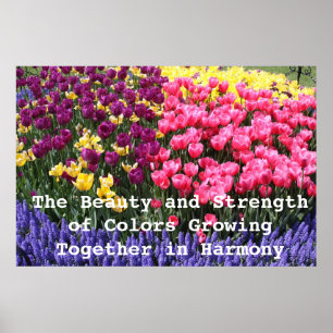 IMG_5044, The Beauty and Strength of Colours Poster