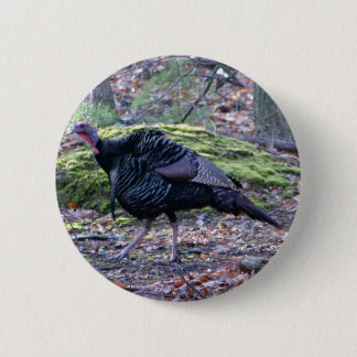 IMG_6278_edited 2 Inch Round Button