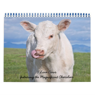 IMG_6979, I Love Cows featuring the Magnificent... Calendar