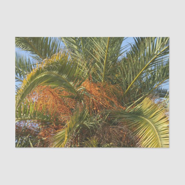 IMG_7080.JPGsummer, palm, leaf, tropical, tree, Tissue Paper (Front)