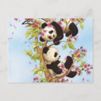 IMG_7386.PNG  cute and colourful panda designed