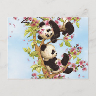 IMG_7386.PNG cute and colourful panda designed Postcard