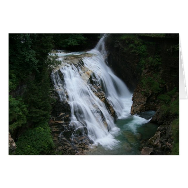 IMG_9734 (Devant horizontal)